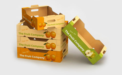 Types of boxes and packaging of dried fruit